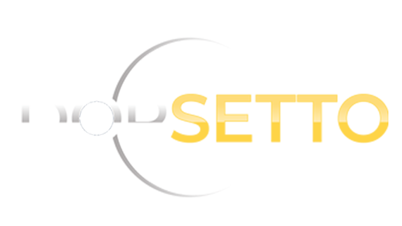 De afbeelding toont het woord MINDSETTO in een modern lettertype. De linkerhelft van het woord is grijs en gedeeltelijk vervaagd achter een cirkelvorm, terwijl de rechterhelft vet en geel is.
